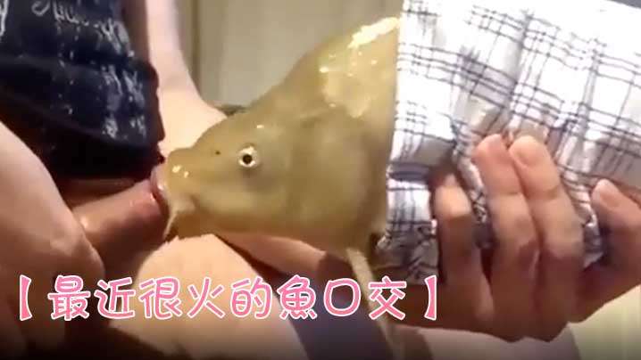 最近很火的鱼口交鱼都被迫下海了吗- www.jdav.vip