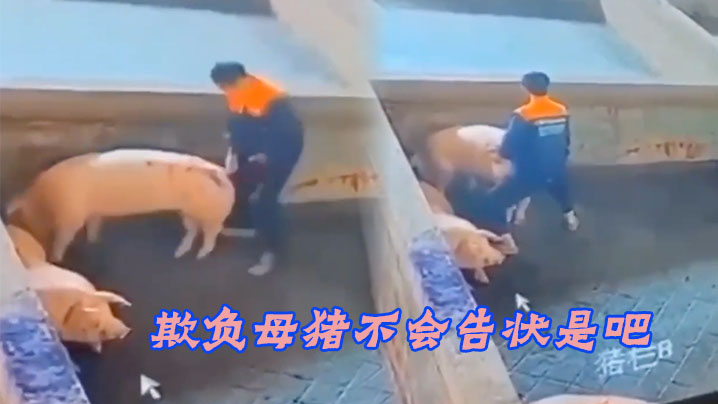 欺负母猪不会告状是吧- www.jdav.vip