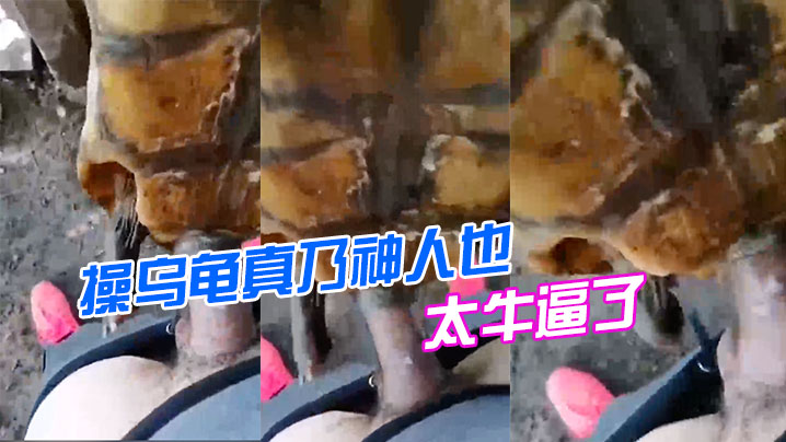 太牛逼了操乌龟真乃神人也- www.jdav.vip