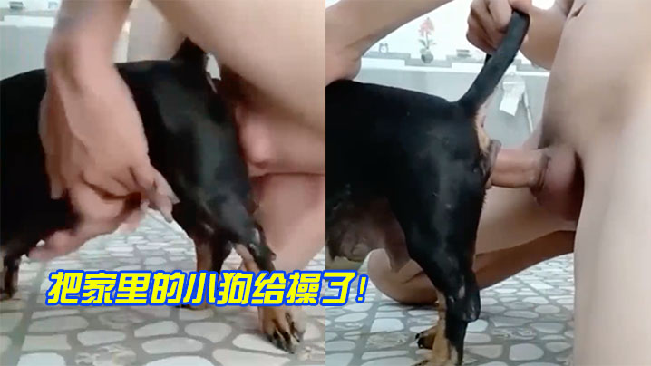 把家里小狗操了- www.jdav.vip